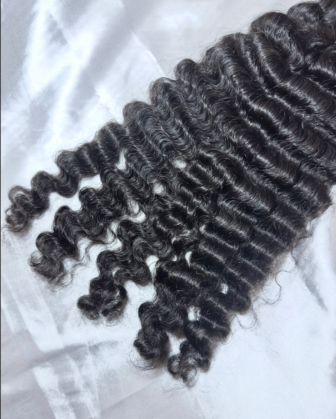 Burmese Curl