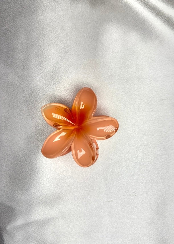 Pinces Fleurs