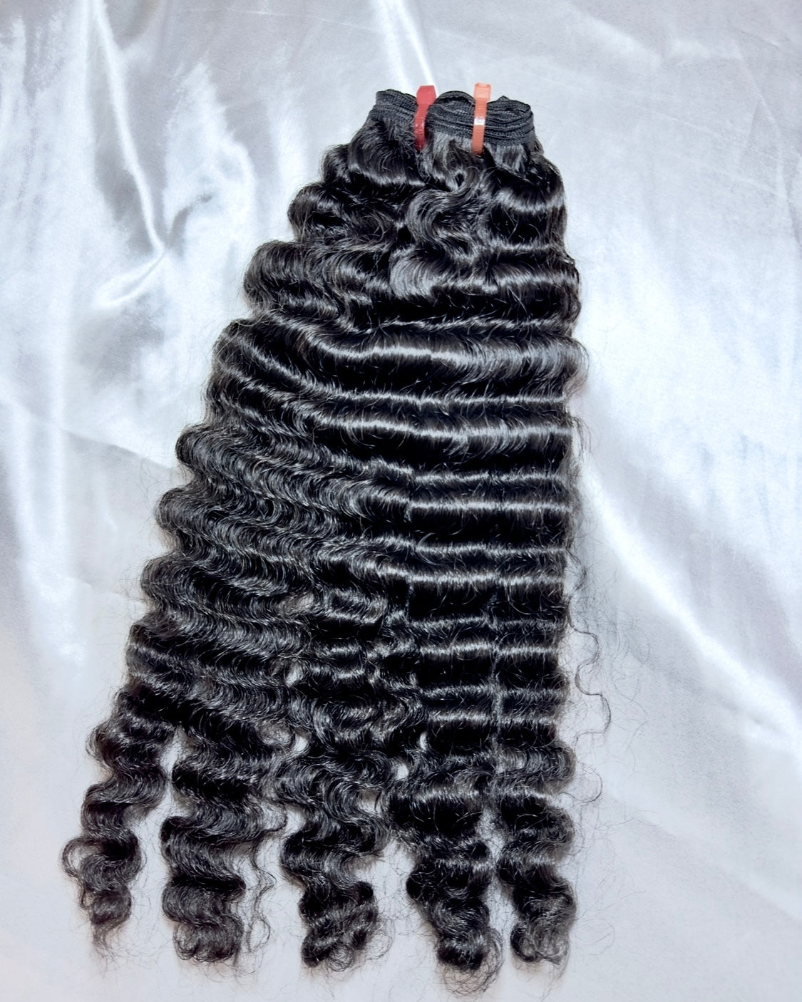 Burmese Curl