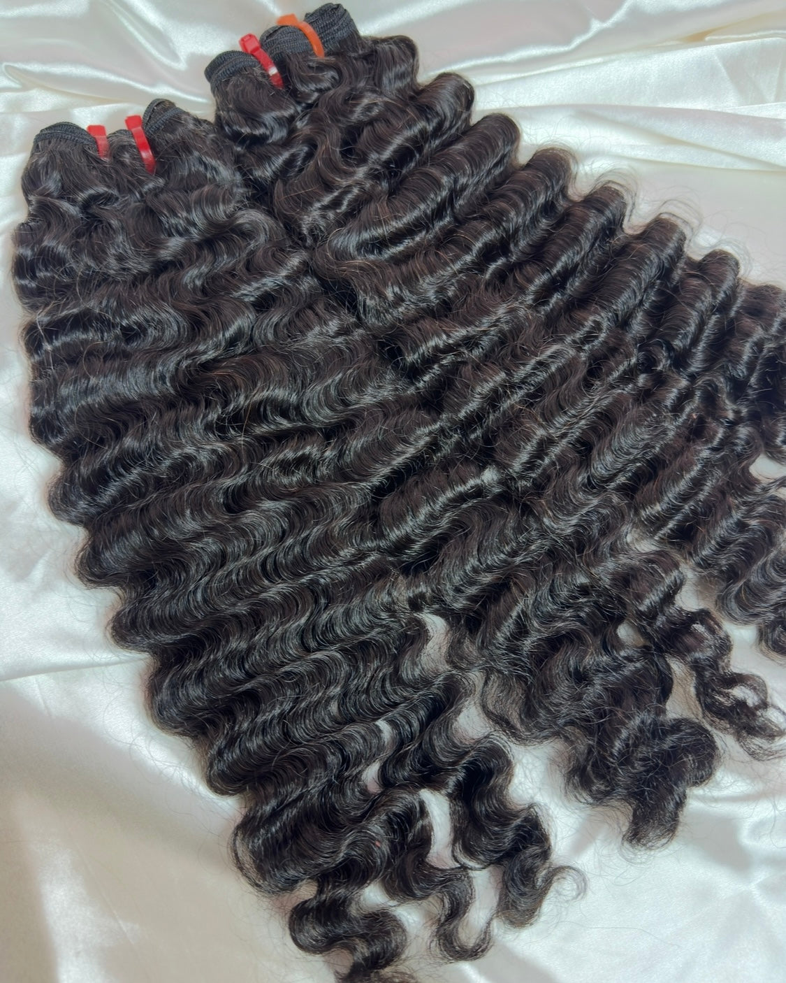 Burmese Curl