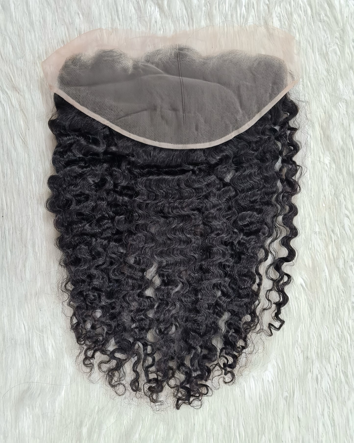 Burmese Curl
