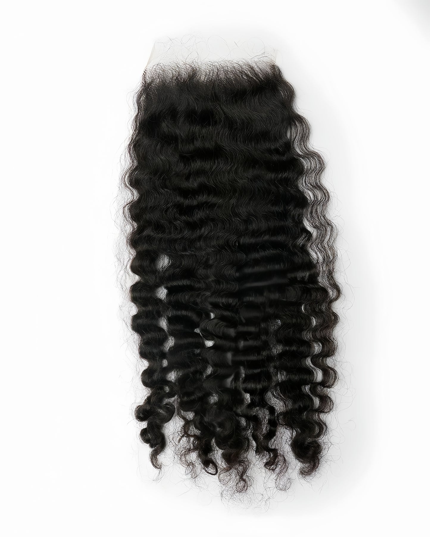 Burmese Curl