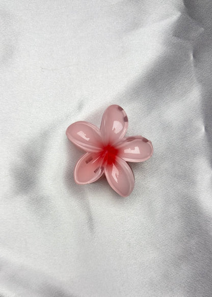 Pinces Fleurs