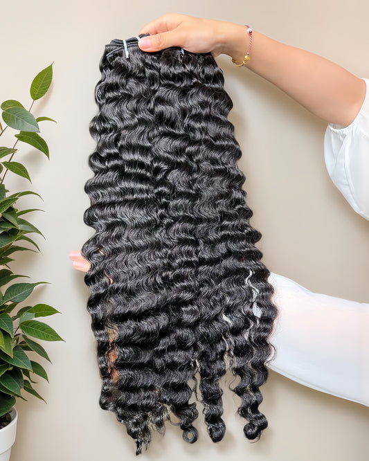Burmese Curl