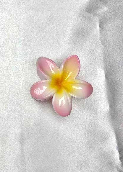 Pinces Fleurs